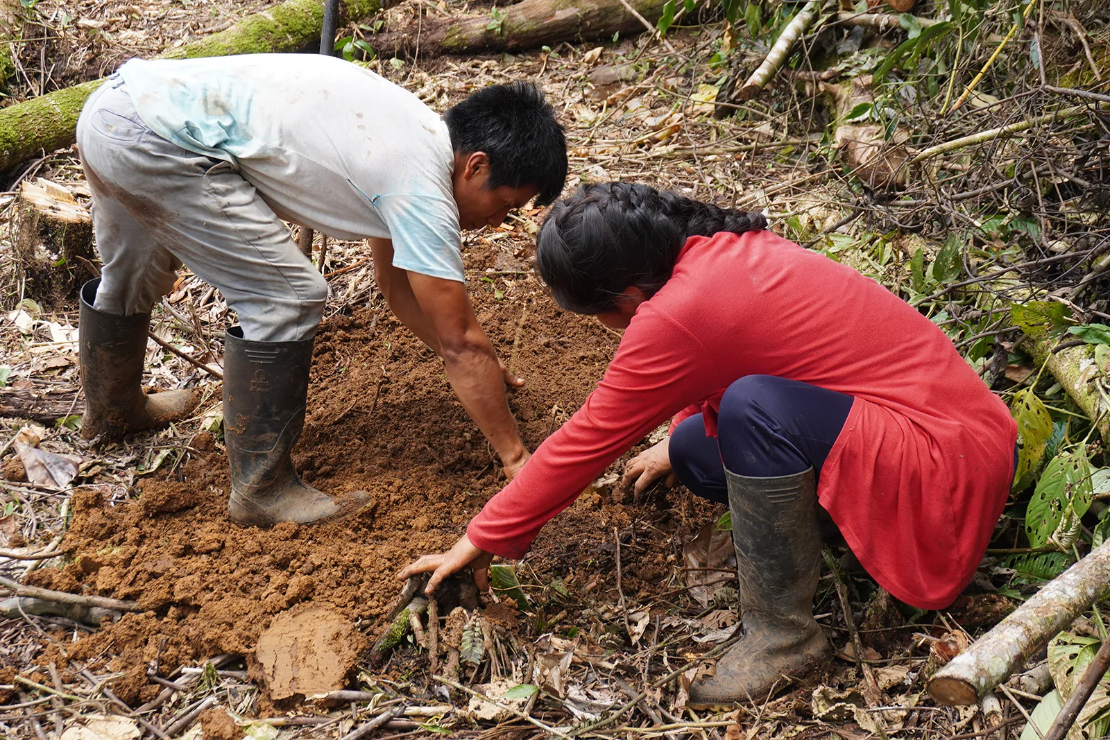 Ajas nua shuar – Agricultura ancestral